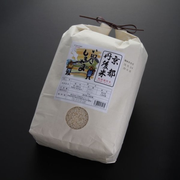 画像1: 京都丹後産ミルキークイーン特別栽培米 いわきしろやま(5kg) (1)