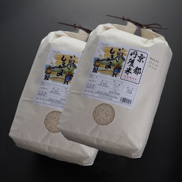 画像1: 生活応援キャンペーン【送料無料】 京都丹後産ミルキークイーン特別栽培米 いわきしろやま(5kg)　2袋セット (1)